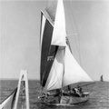 Cover: Sailing Smacks of the Port of Faversham - Faversham Society