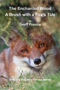 Cover: Enchanted Wood - Brush of a Fox's Tale - Bonobo TV