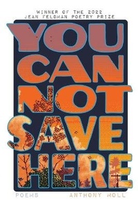 Enlarge image Cover: You Cannot Save Here - Washington Writers' Publishing House