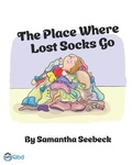 Cover: The Place Where Lost Socks Go - Unqbd