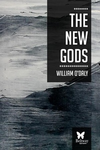 Enlarge image Cover: The New Gods - Beltway Editions