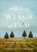 Cover: Under the Wings of God - Brazos Press