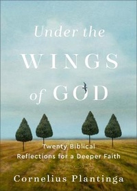 Enlarge image Cover: Under the Wings of God - Brazos Press