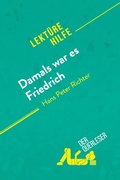 Cover: Damals war es Friedrich von Hans Peter Richter (Lektuerehilfe) - Derquerleser.de