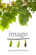 Cover: Imago - Johns Hopkins University Press