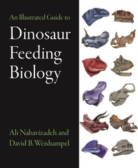 Abbildung von: An Illustrated Guide to Dinosaur Feeding Biology - Johns Hopkins University Press