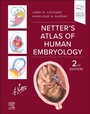 Cover: Netter's Atlas of Human Embryology - Churchill Livingstone