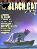 Cover: Black Cat Weekly #47 - Wildside Press