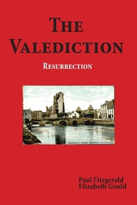 Enlarge image Cover: Valediction - Trine Day