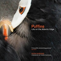Abbildung von: Puffins - Sandstone Press Ltd