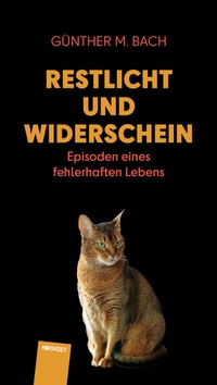 Abbildung von: Restlicht und Widerschein - Hirnkost