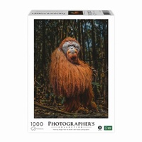 Abbildung von: AMBASSADOR - Orang-Utan 1000 Teile (Donal Boyd) - Carletto Deutschland GmbH