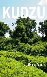 Enlarge image Cover: Kudzu - Lulu.com