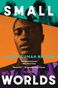 Cover: Small Worlds - Grove Press / Atlantic Monthly Press