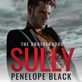 Cover: Sully - Dreamscape Media