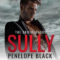 Enlarge image Cover: Sully - Dreamscape Media