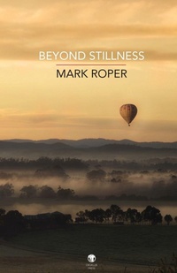 Enlarge image Cover: Beyond Stillness - Dedalus Press