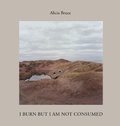Cover: I Burn But Am Not Consumed - Daylight Books