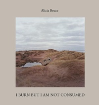 Enlarge image Cover: I Burn But Am Not Consumed - Daylight Books