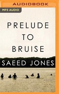 Cover: Prelude to Bruise - Audible Studios on Brilliance