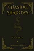 Cover: Chasing Shadows - Water Sign Books
