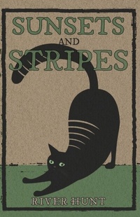 Abbildung von: Sunsets and Stripes - Isabella Hunt