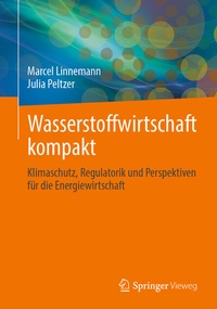 Abbildung von: Wasserstoffwirtschaft kompakt - Springer Vieweg
