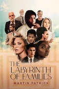 Cover: The Labyrinth of Families - Amazon Marketing Hub