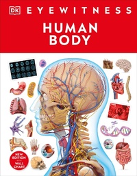 Enlarge image Cover: Human Body - DK Children
