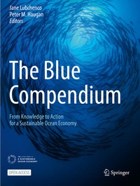 Enlarge image Cover: The Blue Compendium - Springer