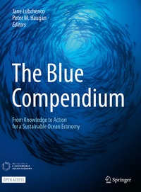 Enlarge image Cover: The Blue Compendium - Springer