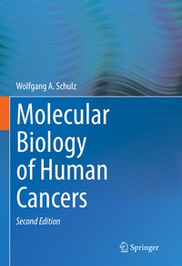 Abbildung von: Molecular Biology of Human Cancers - Springer