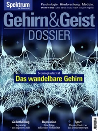 Bild: Gehirn&Geist Dossier - Das wandelbare Gehirn - Spektrum der Wissenschaft