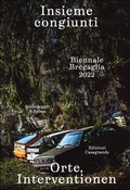 Cover: Insieme congiunti. Orte, Interventionen - Edizioni Casagrande SA