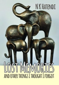 Abbildung von: Lost Memories and other things I thought I forgot - Immortalise