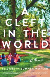 Abbildung von: A Cleft in the World - She Writes Press