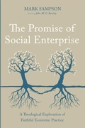 Cover: The Promise of Social Enterprise - Wipf & Stock Publishers