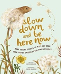 Cover: Slow Down and Be Here Now - Harry N. Abrams