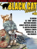 Cover: Black Cat Weekly #48 - Wildside Press