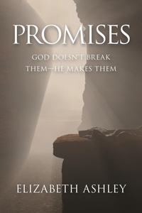 Enlarge image Cover: Promises - WestBow Press