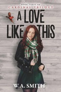 Cover: Love Like This - BOOKBABY