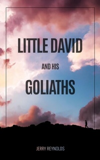 Abbildung von: LITTLE DAVID AND GOLIATHS - Gotham Books
