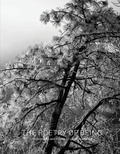 Cover: The Poetry of Being - Daylight Books