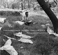 Cover: Passing Through Eden - Steidl