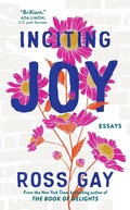 Cover: Inciting Joy - Hodder & Stoughton