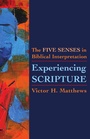 Cover: Experiencing Scripture - Fortress Press