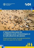 Cover: L'intersection entre les conditions socio-economiques et la radicalisation des jeunes - Food & Agriculture Organization of the United Nations (FAO)