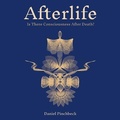 Cover: Afterlife - Waterside Productions, Inc.
