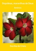 Cover: ORQU&Iacute;DEAS, MARAVILHAS DE DEUS - Bibliomundi