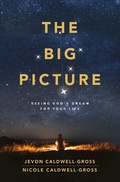 Cover: The Big Picture - Abingdon Press